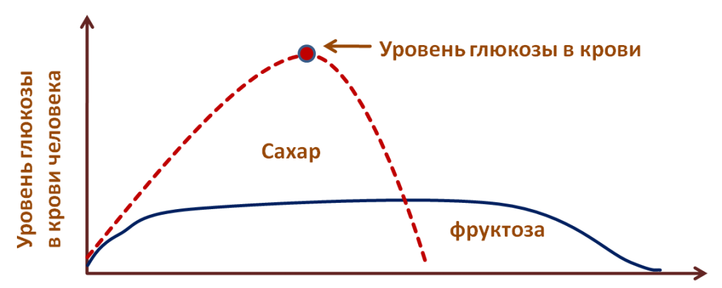 Польза клюквы: полезные и вредные свойства | Роскачество