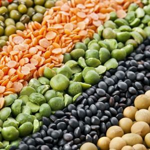Plant and animal protein - what's the difference?