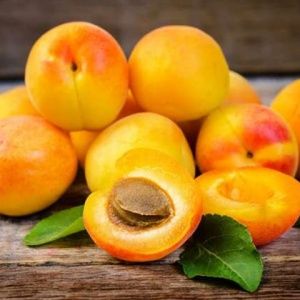 APRICOT DESSERT! PP RECIPE! WITHOUT SUGAR
