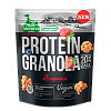 Protein granola